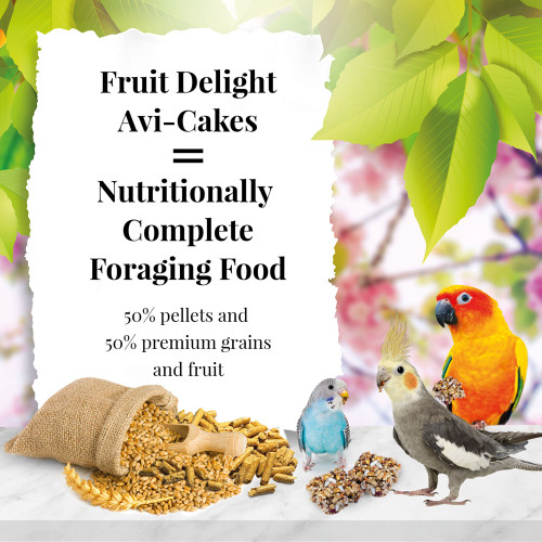 Lafeber Fruit Delight AviCakes Cockatiel and Budgie Treat 227g 3