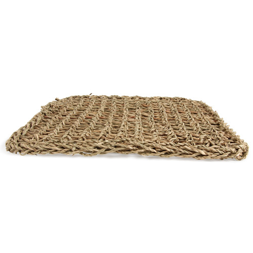 Seagrass Mat Parrot Toy Making Part - Large 1