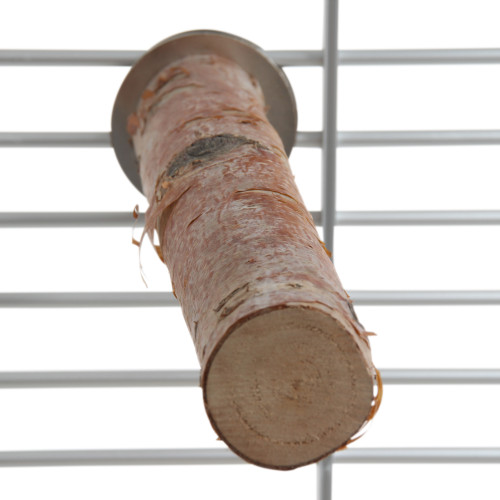 Birch Branch Parrot Perch Medium 2