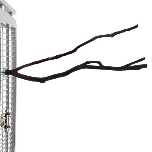 Manzanita Multi Perch - Small 1