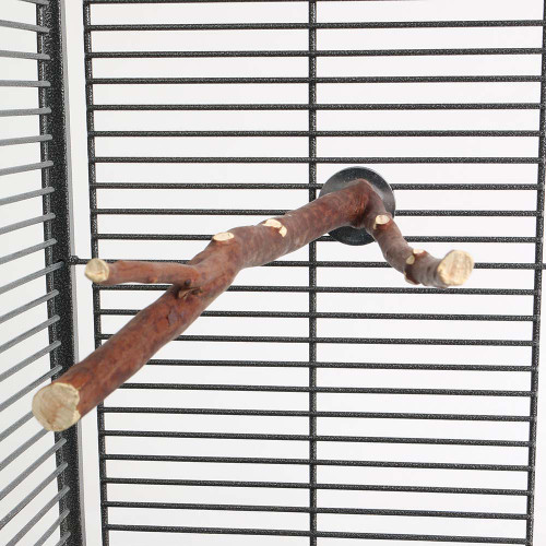 Manzanita Tropical Hardwood Multi Perch Large 3