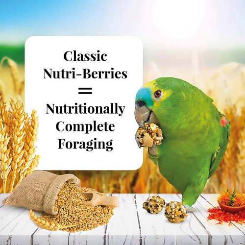 Lafeber NutriBerries Original Parrot 1.47kg - Case of 4 3