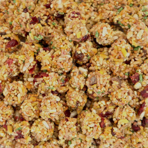 Lafeber NutriBerries Sunny Orchard Cockatiel - 284g - Case of 12