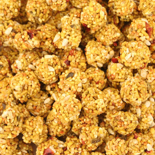 Lafeber NutriBerries Spicy El Paso Parrot - 1.36kg - Case of 4
