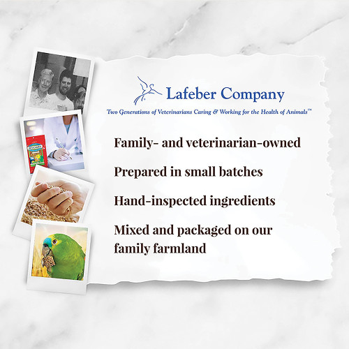 Lafeber Original AviCakes 340g Case of 36