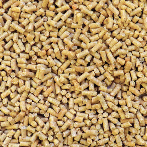 Lafeber Gourmet Pellets Tropical Fruit 567g Conure Case of 12