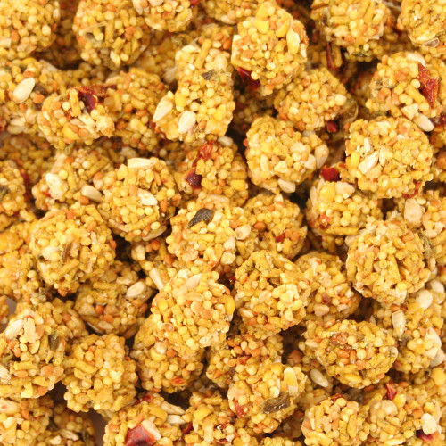Lafeber NutriBerries Spicy El Paso Parrot 6.4kg