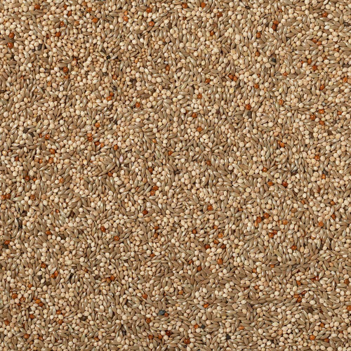 Johnston and Jeff Expert Budgie Seed 20Kg