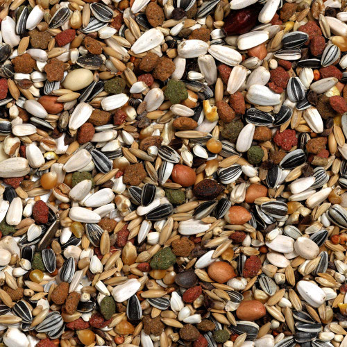 Prestige Loro Parque African Parrot Blend 1kg