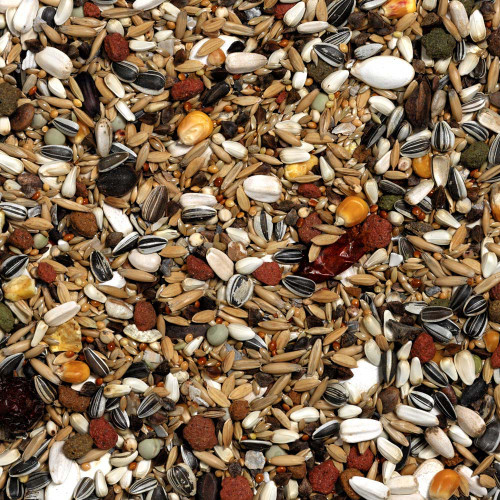 Prestige Premium Nut Free Mix Parrot Food 2kg
