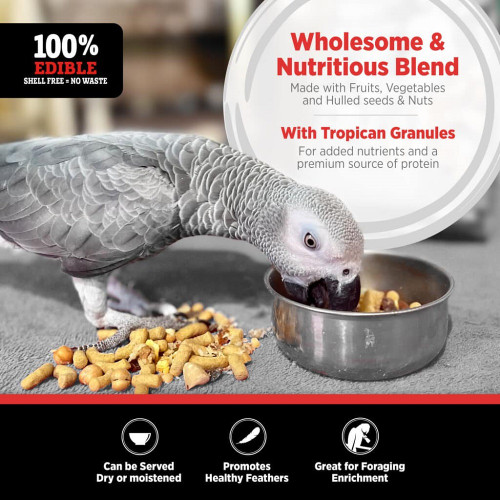 Hari Hagen Tropimix Large Parrot Food Enrichment Mix 9.07kg