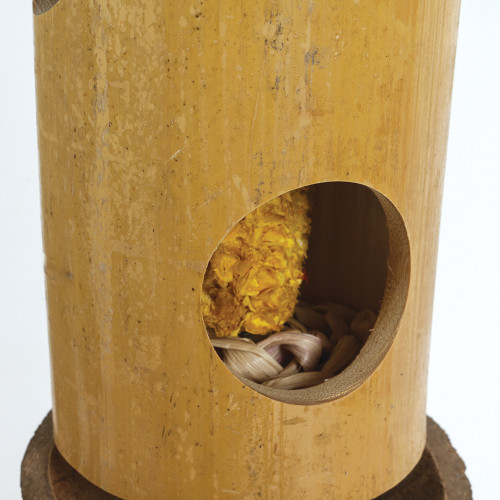Pine Cone Surprise Natural Foraging Parrot Toy