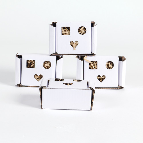 Foraging Boxes Cardboard Parrot Toys Pack of 4