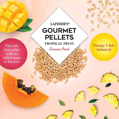 Lafeber Gourmet Pellets Tropical Fruit 1.8kg Complete Conure Food - Case of 4
