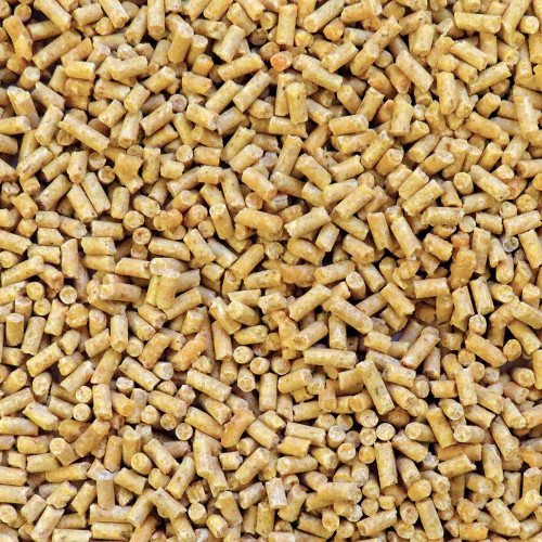 Lafeber Gourmet Pellets Tropical Fruit 1.8kg Complete Conure Food - Case of 4