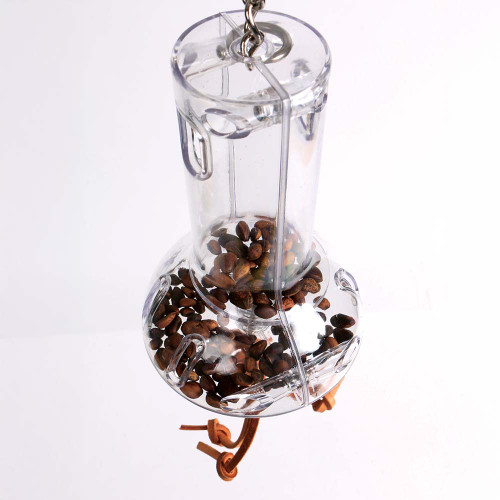 Creative Foraging Clever Capsule Parrot Toy