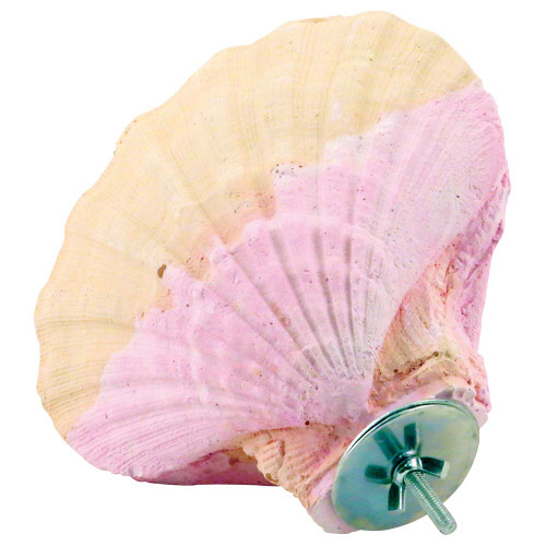 Edible Calcium Clam Parrot Perch - Large