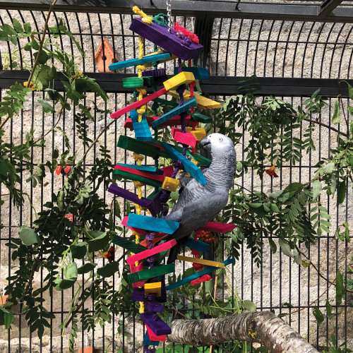 Rainbow Tower Wood and Rope Parrot Toy