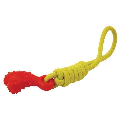 Chase n Chomp Seek-It Comet Treat Bone & Fetch Dog Toy
