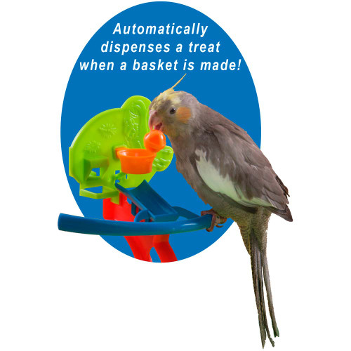 Birdie Basketball Gym - Activity Centre for Smaller Parrots