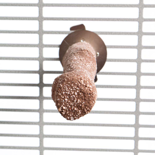 Beach Branch Perch - Medium - Edible Parrot Perch