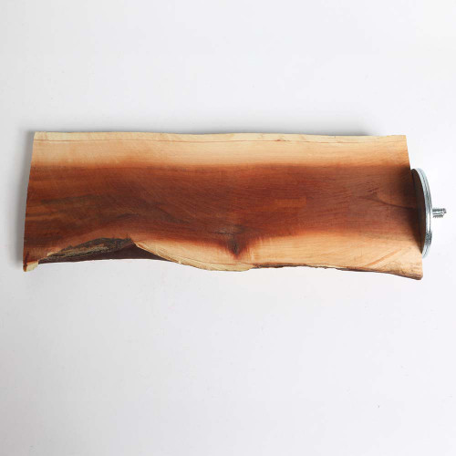 Manzanita Flat Parrot Perch - Large