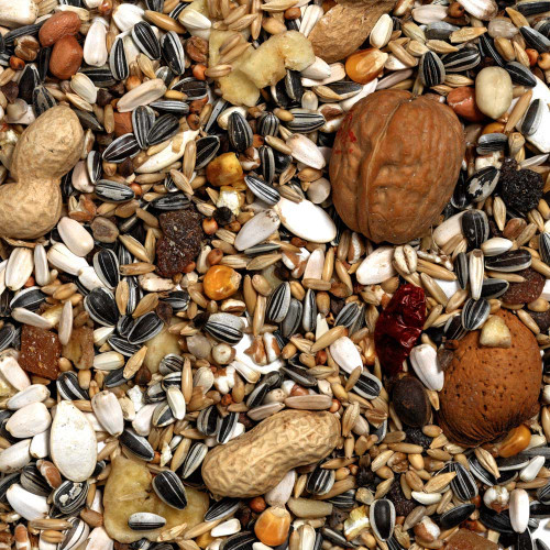 Prestige Exotic Nut Mix Parrot Treat - 750g