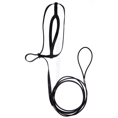 The Aviator Parrot Harness - Petite