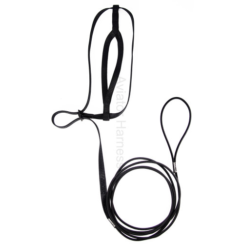 The Aviator Parrot Harness - Mini