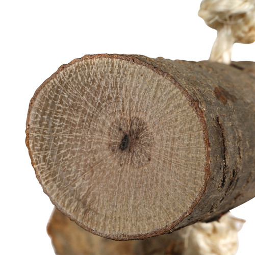 Naturals Log Block Stackers Parrot Toy - Large