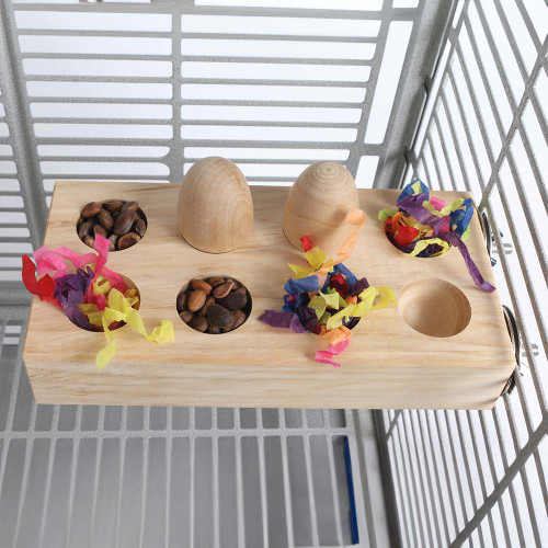 Foraging Platform Parrot Perch Large 3