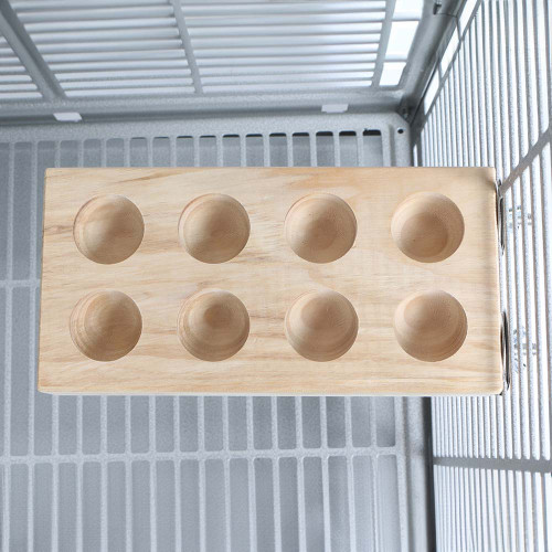 Foraging Platform Parrot Perch Large 2