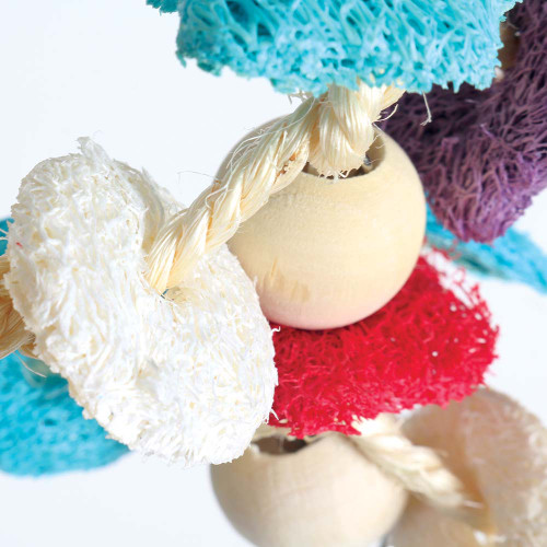 Mini Loofah Loving Parrot Toy