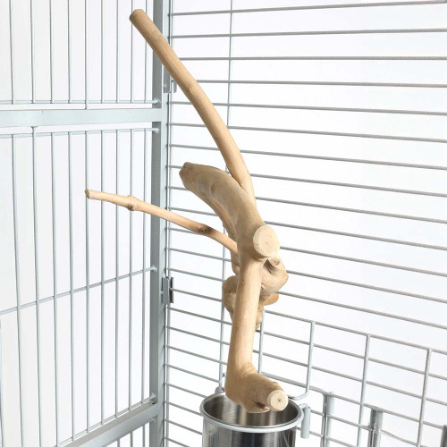 Small Java Multibranch Natural Parrot Perch