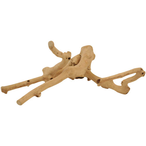 Medium Java Multibranch Natural Parrot Perch