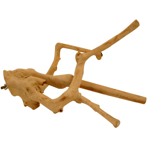 Medium Java Multibranch Natural Parrot Perch