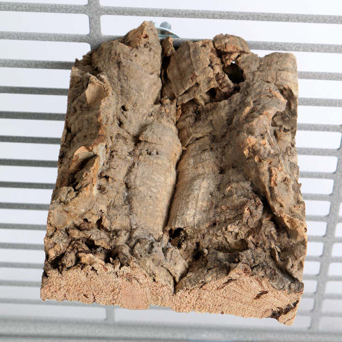 Back To Nature Cork Platform Parrot Perch Small