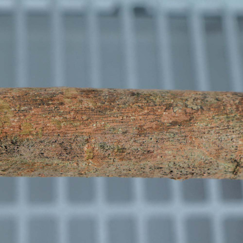 20cm Y-Shaped Wood Parrot Perch