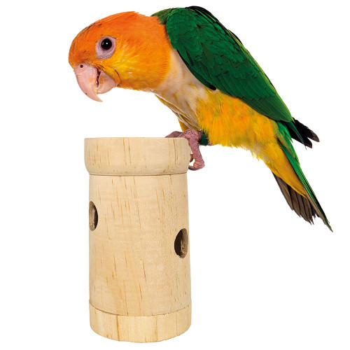 Super Snack Roller Foraging Parrot Toy