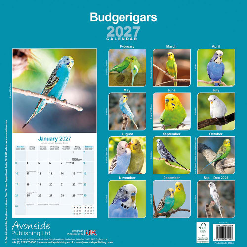 2027 Budgie Parrot Calendar - Full Colour - 16 Month - Starts September 2026 3