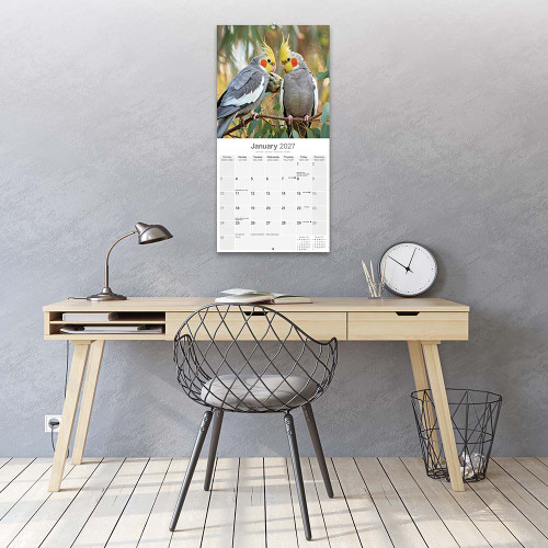2027 Cockatiel Parrot Calendar - Full Colour - 16 Month - Starts September 2026 4
