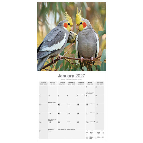2027 Cockatiel Parrot Calendar - Full Colour - 16 Month - Starts September 2026 2