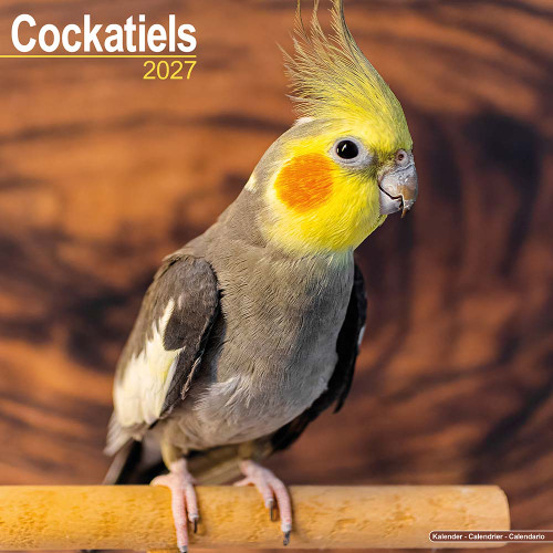 2027 Cockatiel Parrot Calendar - Full Colour - 16 Month - Starts September 2026