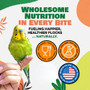 Bird Street Bistro Premium Seed Mix Small Parrot Food 11oz
 1