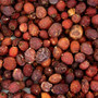 Tidymix Human Grade Hawthorn Berries Parrot Treat 125g