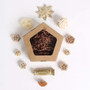 Natural Fun Small Pentagon Foraging Box Parrot Toy 8