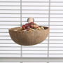 Parrot Perch and Feeding Cup - Medium 3