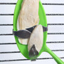 Cuttlefish Bone Holder 1