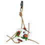 Foraging Fun Box Parrot Toy - Small 2