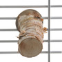Birch Branch Parrot Perch Small 2